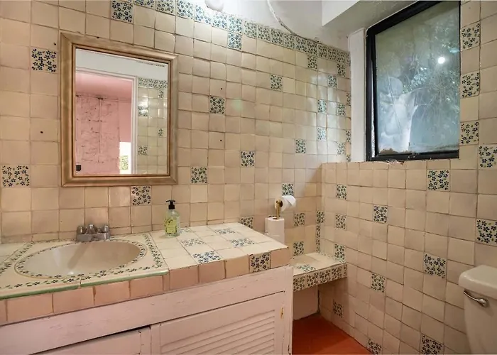 Group In Fun Yard 15 Min From Polanco! * Mexico City