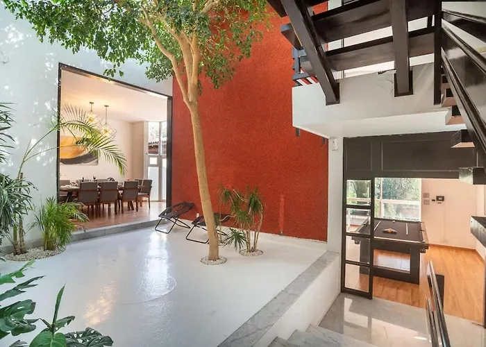 Group In Fun Yard 15 Min From Polanco! Mexico City
