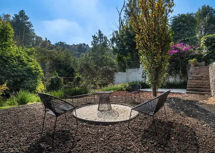Group In Fun Yard 15 Min From Polanco!